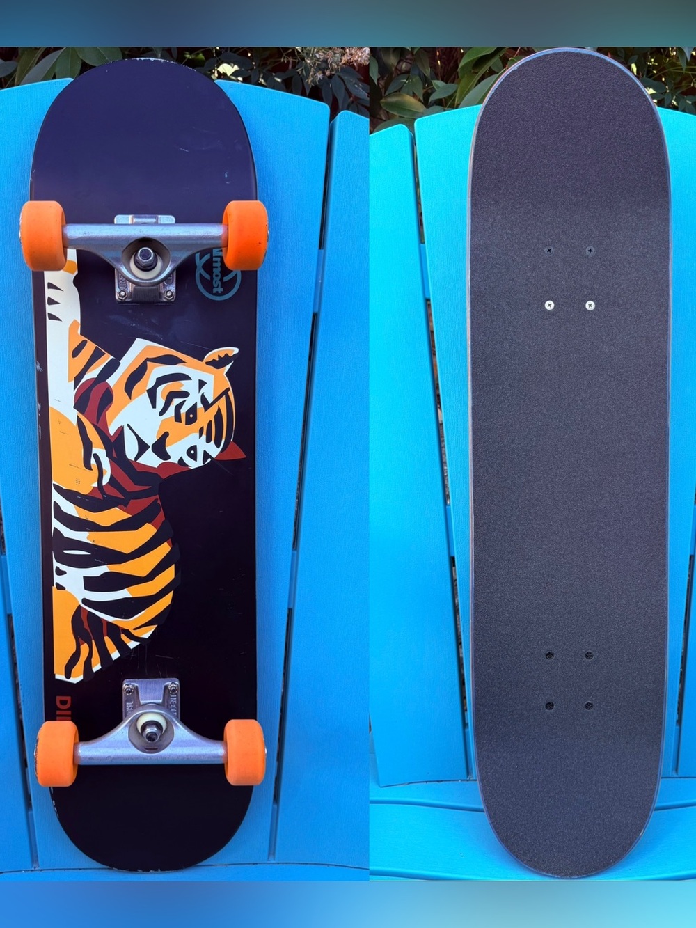 Almost Skateboards John Dilo Animals Complete Skateboard Independent Bones Swiss